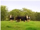 Gloucester NSW 2422