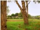 Gloucester NSW 2422