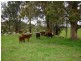 Lot 381 Bowman Farm Road, Gloucester NSW 2422