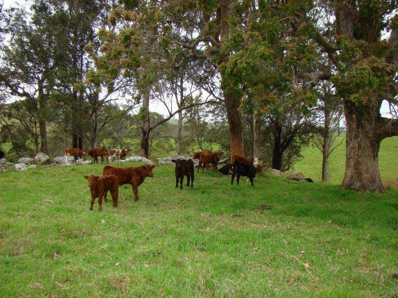 Lot 381 Bowman Farm Road, Gloucester NSW 2422