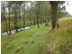 Lot 381 Bowman Farm Road, Gloucester NSW 2422