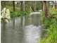 Lot 381 Bowman Farm Road, Gloucester NSW 2422