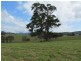 Lot 381 Bowman Farm Road, Gloucester NSW 2422