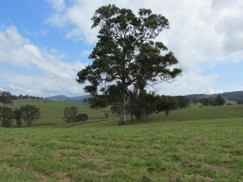 Lot 381 Bowman Farm Road, Gloucester NSW 2422