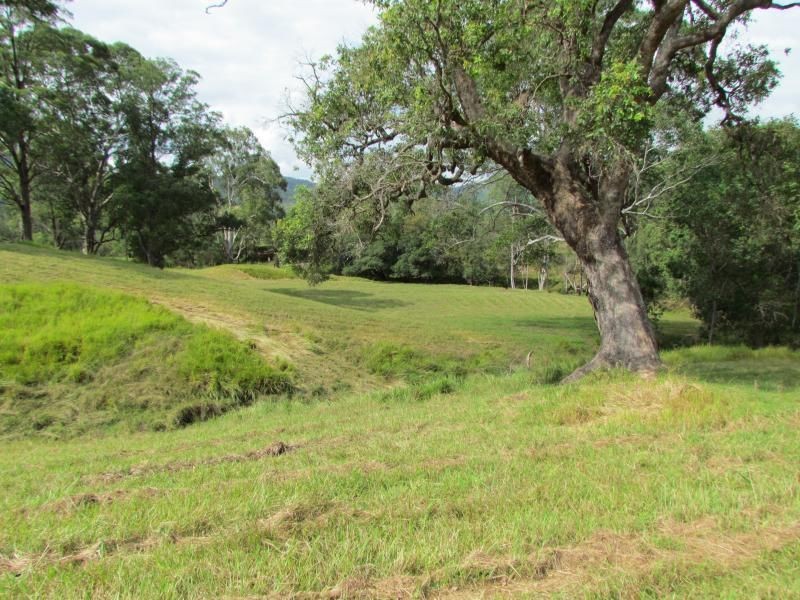 Lot 381 Bowman Farm Road, Gloucester NSW 2422