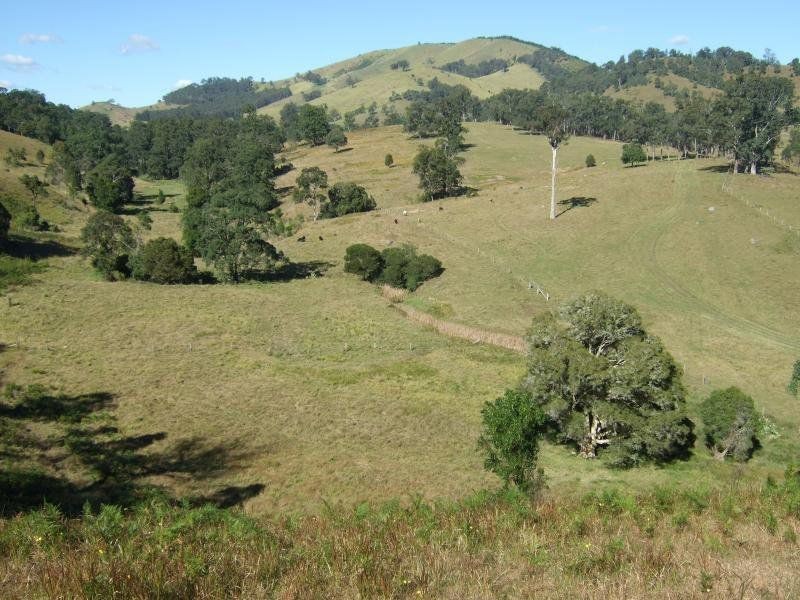 1408 Bundook Road, Bundook NSW 2422