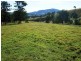 1408 Bundook Road, Bundook NSW 2422
