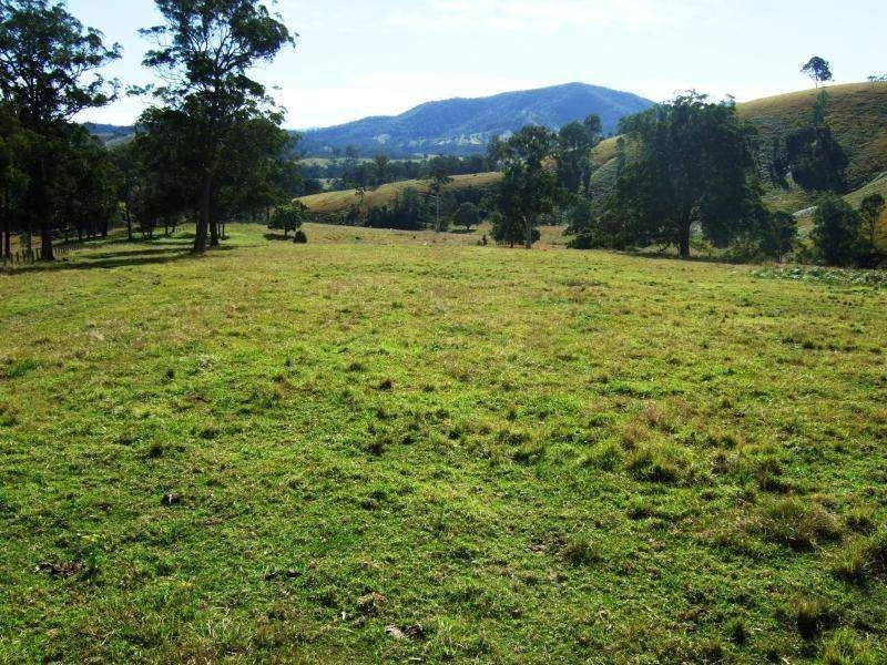 1408 Bundook Road, Bundook NSW 2422
