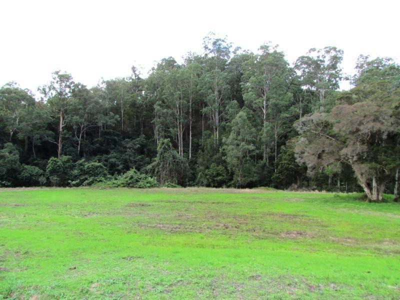 1408 Bundook Road, Bundook NSW 2422