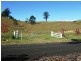 1408 Bundook Road, Bundook NSW 2422