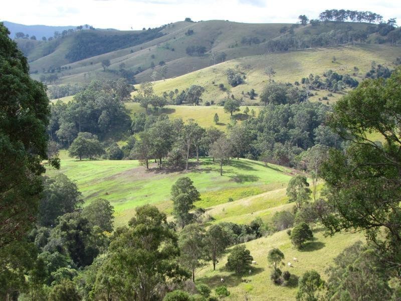 1408 Bundook Road, Bundook NSW 2422