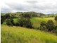 1408 Bundook Road, Bundook NSW 2422