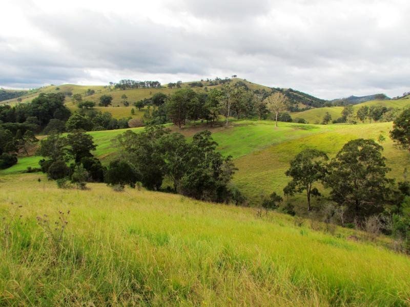 1408 Bundook Road, Bundook NSW 2422