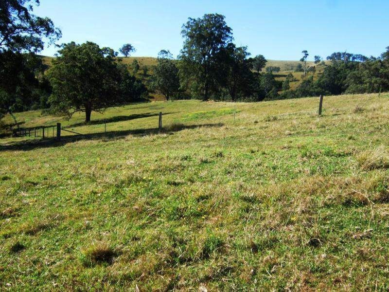 1408 Bundook Road, Bundook NSW 2422