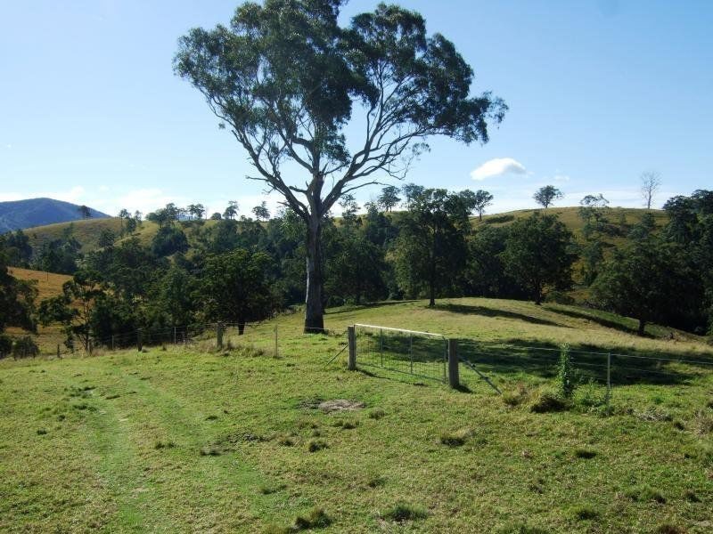 1408 Bundook Road, Bundook NSW 2422