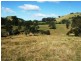 1408 Bundook Road, Bundook NSW 2422