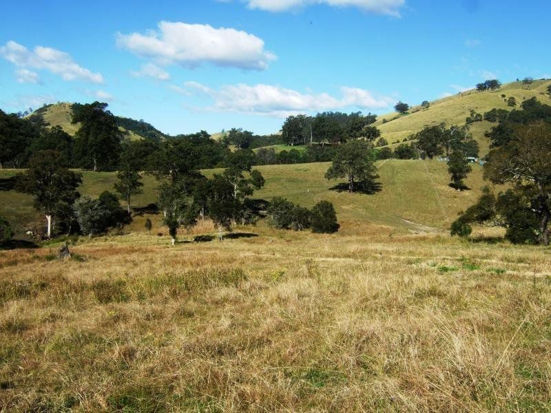1408 Bundook Road, Bundook NSW 2422