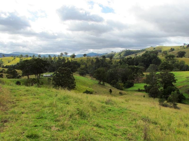 1408 Bundook Road, Bundook NSW 2422