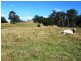 1408 Bundook Road, Bundook NSW 2422