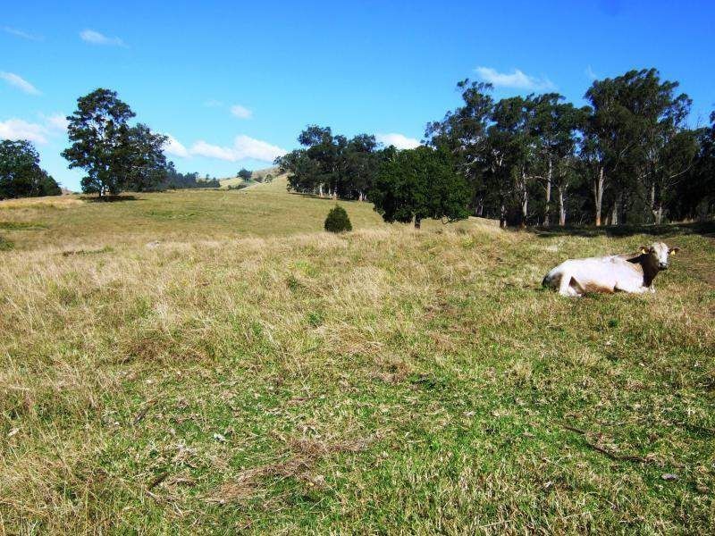 1408 Bundook Road, Bundook NSW 2422