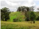 1408 Bundook Road, Bundook NSW 2422