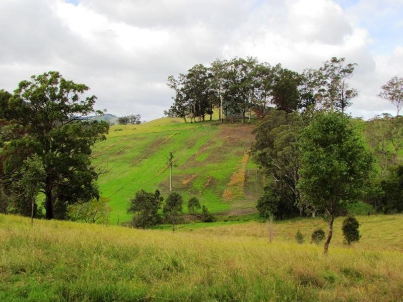 1408 Bundook Road, Bundook NSW 2422