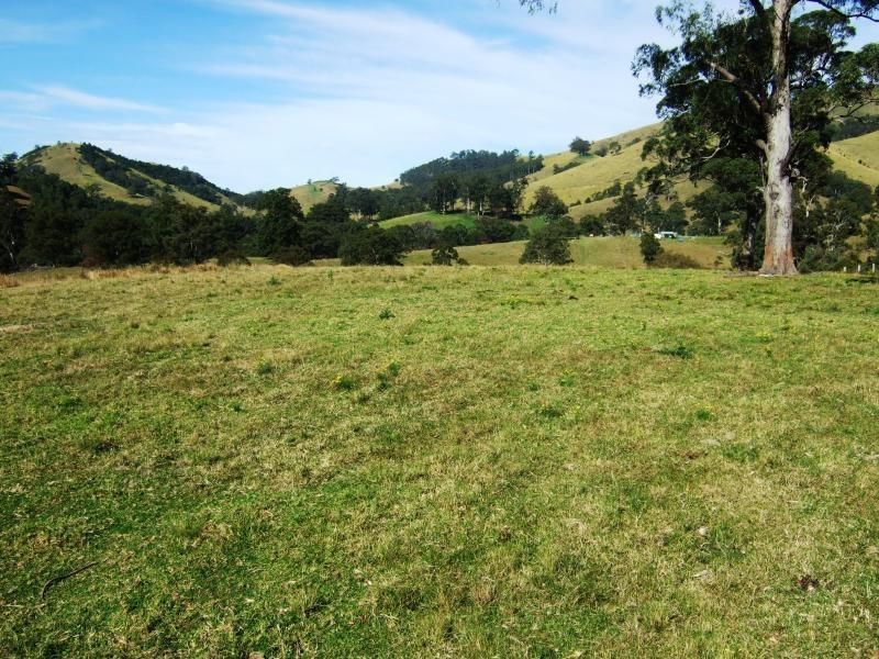 1408 Bundook Road, Bundook NSW 2422