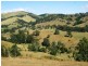 1408 Bundook Road, Bundook NSW 2422