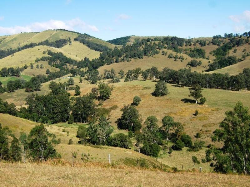 1408 Bundook Road, Bundook NSW 2422