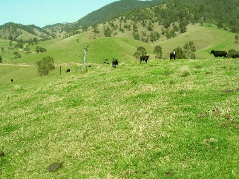 1593 Curracabark Road, Gloucester NSW 2422