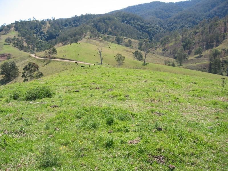 1593 Curracabark Road, Gloucester NSW 2422