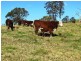 Gloucester NSW 2422