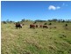 Gloucester NSW 2422