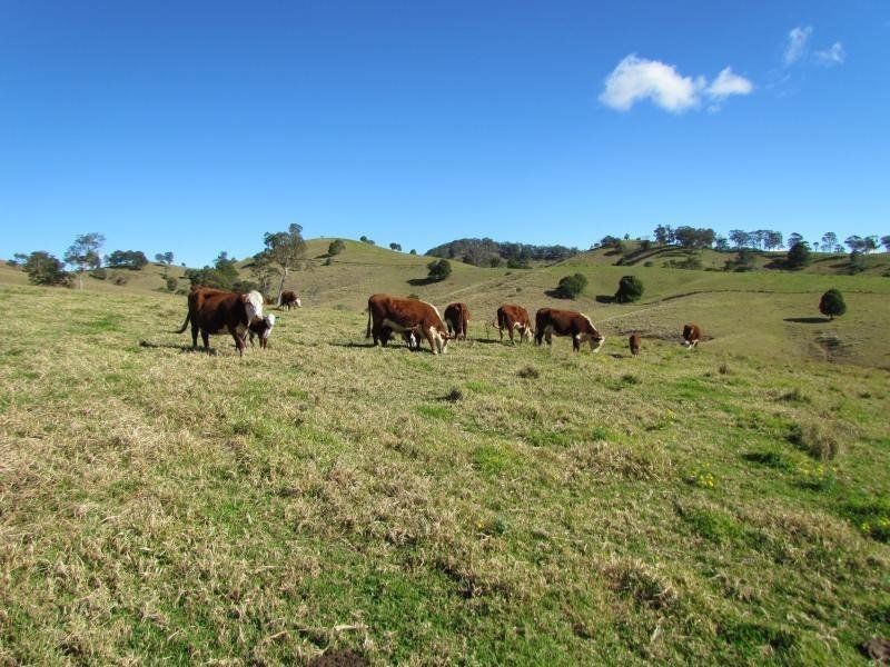 Gloucester NSW 2422