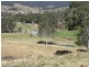 Gloucester NSW 2422