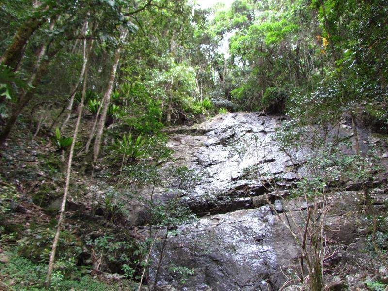 Gloucester NSW 2422