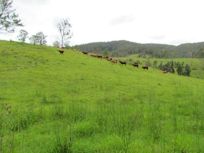 Gloucester NSW 2422