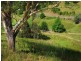 Gloucester NSW 2422