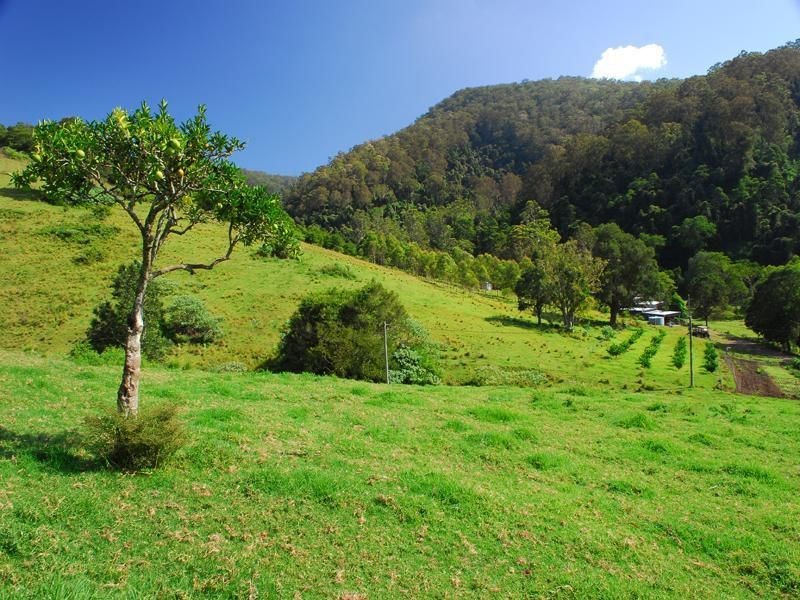 666 Scone Road, Copeland NSW 2422