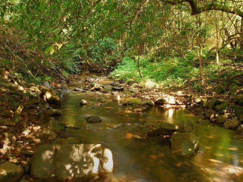 666 Scone Road, Copeland NSW 2422