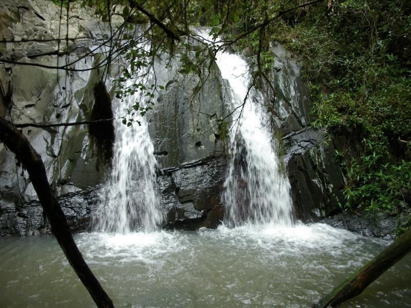 666 Scone Road, Copeland NSW 2422