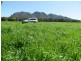 4571 The Bucketts Way, Gloucester NSW 2422