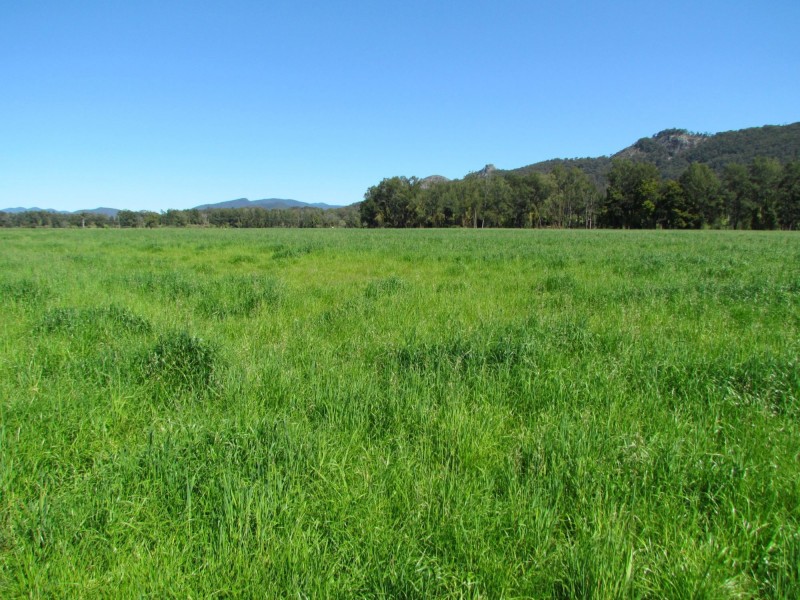 4571 The Bucketts Way, Gloucester NSW 2422