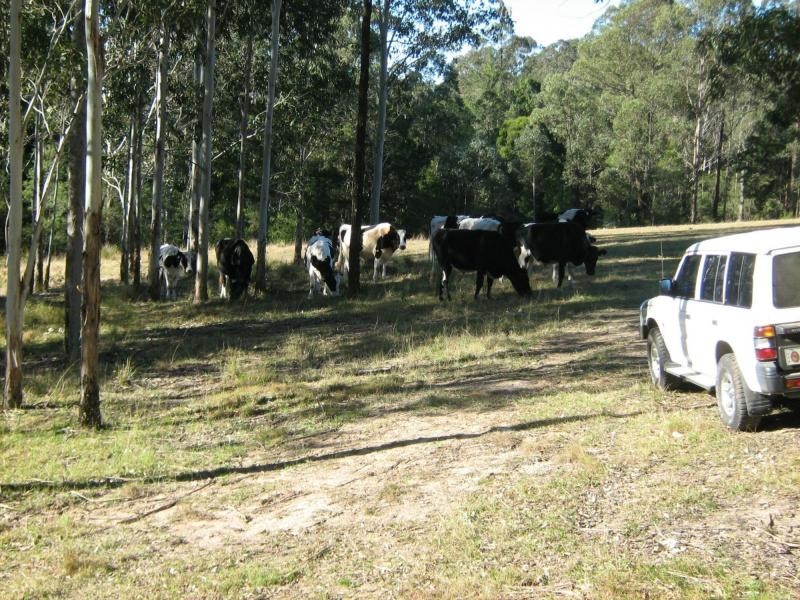 Stroud NSW 2425