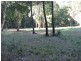 Stroud NSW 2425