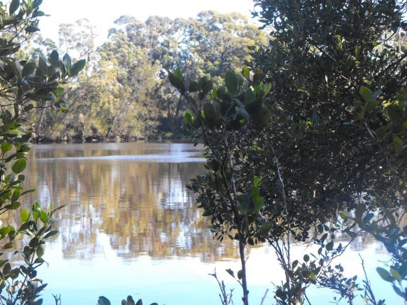 Lot 19 Verona Street, The Branch NSW 2425