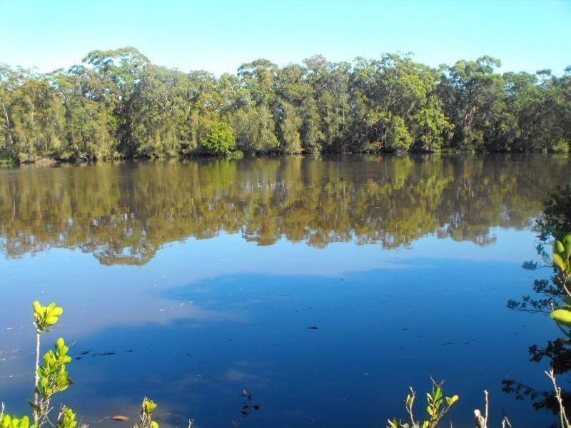 Lot 19 Verona Street, The Branch NSW 2425