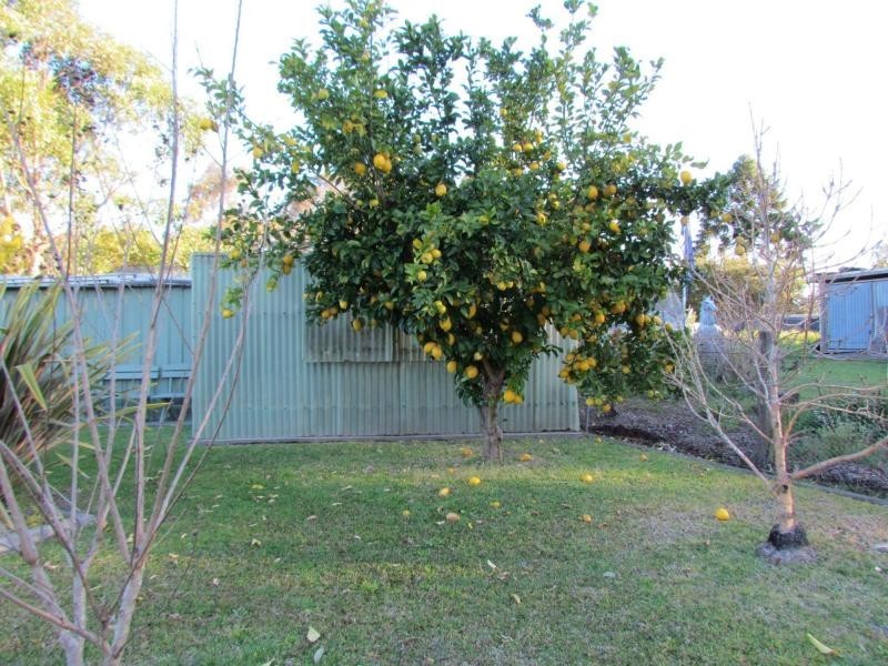 38 Argyle Street, Barrington NSW 2422