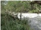 Barrington NSW 2422