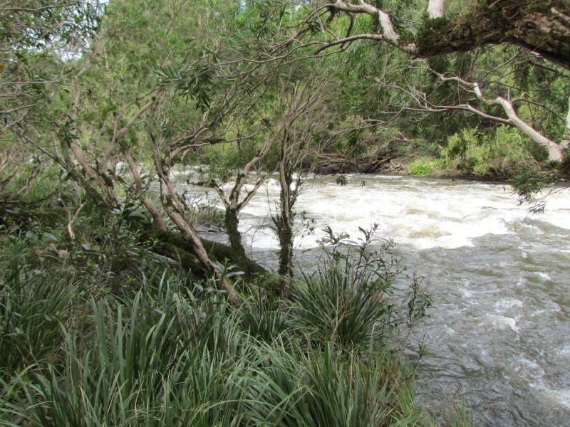 Barrington NSW 2422